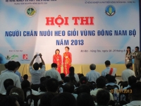 Hội Thi người chăn nuôi HEO giỏi khu vực Đông Nam Bộ 2013 - Tổ chức tại Vũng Tàu